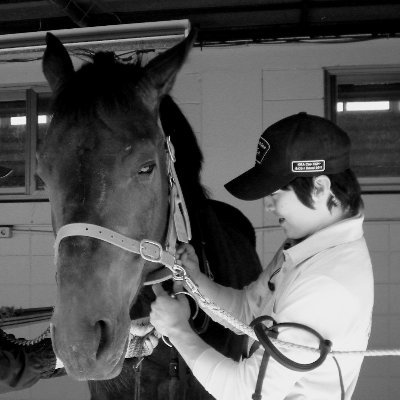 hanktit's profile picture. I love horses.