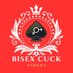 🔥 BISEX CUCK vids 🔥 (@BisexCuck_Vids) Twitter profile photo