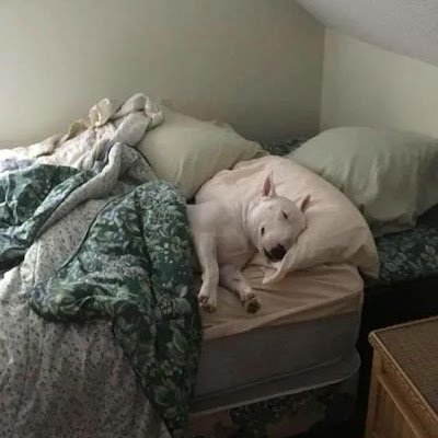 chili95105's profile picture. 