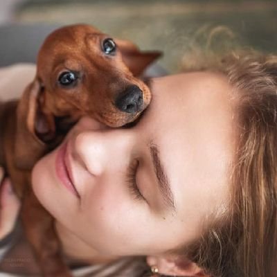 #dachshund  lover girl😊...love to share #dachshunds photos &Vedios...❤️🐾😍