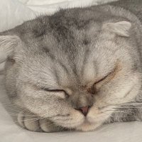 ๐ุฑุฒุงู๐ (@razzaannn) 's Twitter Profile