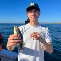 Brad Ayers (@bradayers18) 's Twitter Profile Photo