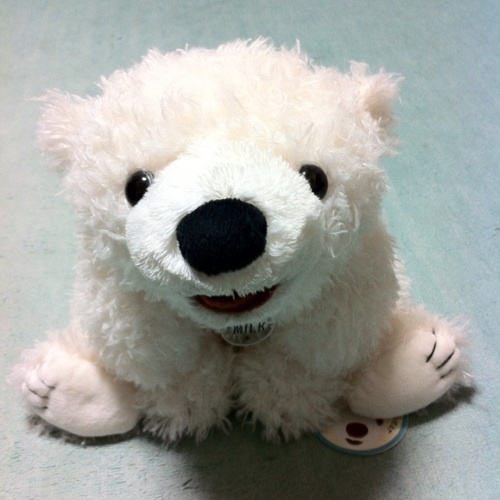 日々くだらないことを考えることを生きがいにしているしろくまのアカウント。 安野家。 名ばかり RISS。リスではない。