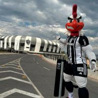 Carlos Rodrigues (@carlosr78427426) 's Twitter Profile