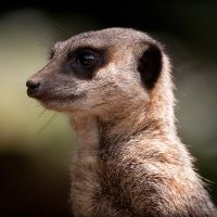 GloriaGlasspool (@lottiecircus) 's Twitter Profile Photo GloriaGlasspool (@lottiecircus) 's Twitter Profile Photo
