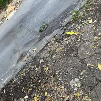 Bd (@fullyautopoints) 's Twitter Profile