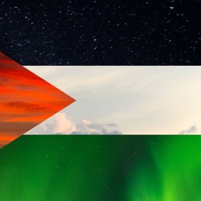 FREE FREE PALESTINE! Pro-Palestine group based in Croydon. 🇵🇸🇵🇸🇵🇸  Insta: @croydon4palestine Email: croydon4palestine@gmail.com