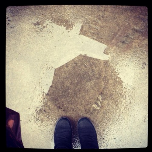 sheerQ's profile picture. improve myself