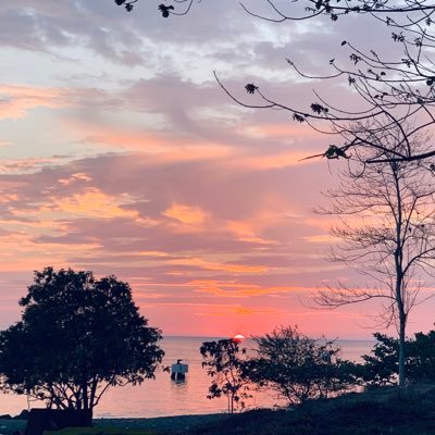 Patrickong08's profile picture. 