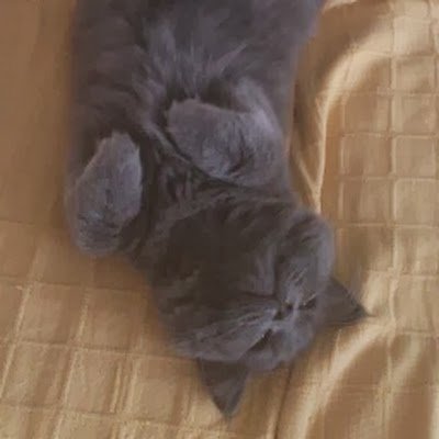 manusanz80's profile picture. 