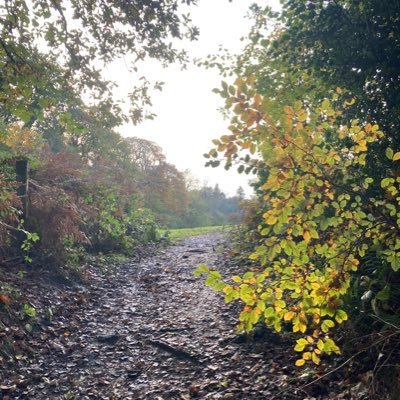 Timothy73917933's profile picture. 