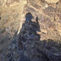 Nargess KhaleghiFard (@narges_khaleghi) 's Twitter Profile Photo Nargess KhaleghiFard (@narges_khaleghi) 's Twitter Profile Photo
