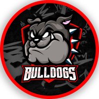 BullDogs 🐶🇻🇪 (@teamcareperros) 's Twitter Profile