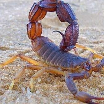 jamilum30794422's profile picture. So special