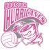 Houston Hurricanes Volleyball (@h_townCanes) Twitter profile photo