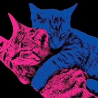 Rafael Assaf (@rflbill) 's Twitter Profile