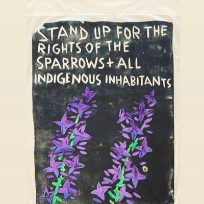 BellaResistenza's profile picture. 