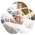 Family Room (@familyroomcares) Twitter profile photo Family Room (@familyroomcares) Twitter profile photo