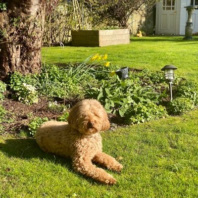 pubslady1's profile picture. 