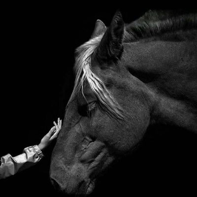 im_me61's profile picture. مجمـوعة  انـسـان  من  كل  ضـد  و ضـد تـلقـون  فـينـي 🖊️   || صعوبات تعلم KSU ||