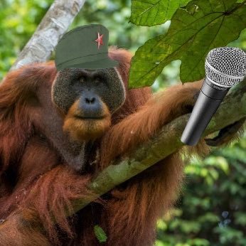 “BROS DONT NEED NO SWEAR WORDS” will never kill myself 1491 Follows=/= Endorsements 📕 ☭ DemiPan @privorangutan is my priv