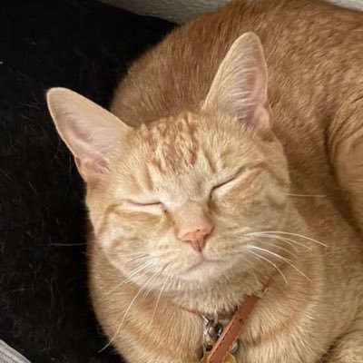 leameyzing's profile picture. Artist sa umaga • Law student sa gabi • Asawa ni Lalis 24/7