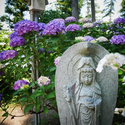 カメラ初心者🌱 素敵な写真をたくさん撮りたい𓂃 𓈒𓏸𑁍