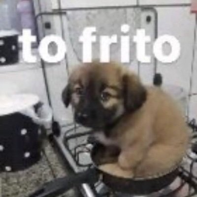 Eumesmotrintae1's profile picture. Doutorado em Roblox🥇