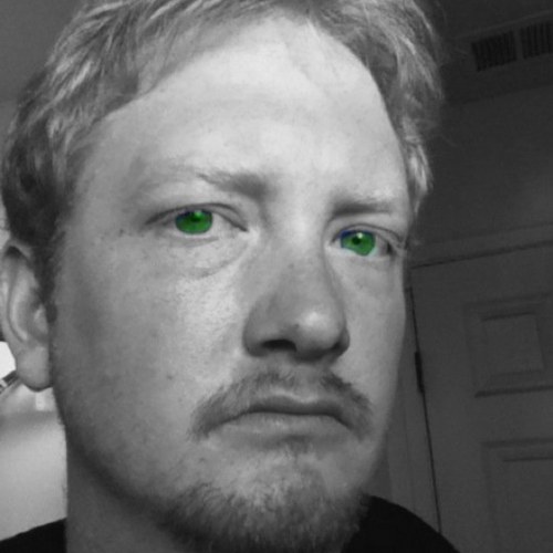 bloodhowl138's profile picture. 