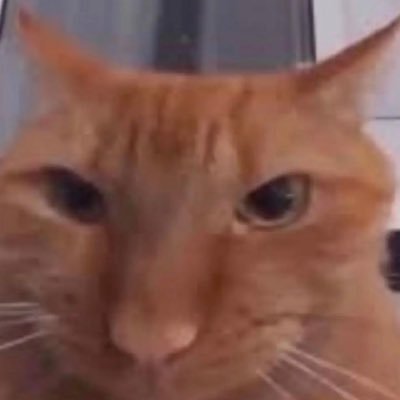 myrightarm111's profile picture. hi 🫶🏻🏳️‍🌈