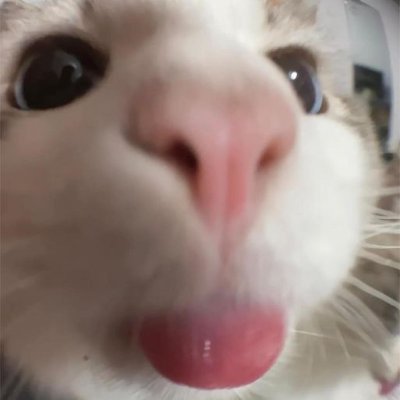 htonicalさんのプロフィール画像