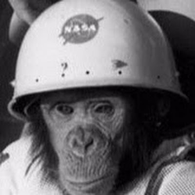 spacemonkey248's profile picture. 