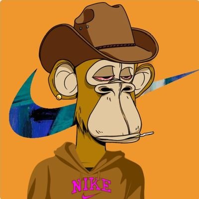 modul24313's profile picture. 