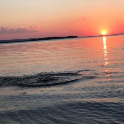 CindyIrvine4's profile picture. My thought &  opinions. Alberta woman, Via British Columbia & Saskatchewan. proud to call Alberta home. Best province to be.