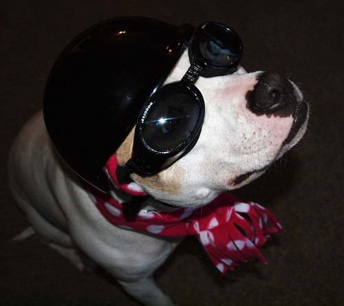 AlaskaComedy's profile picture. Funny Facts and News n Alaska