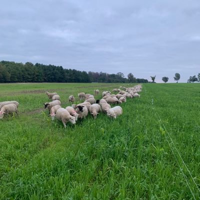 farming in Huron county as sustainable as we can. integration of crops and livestock. Rep for Cangrow and speare seeds. pm to connect