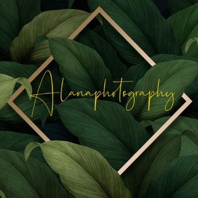 AlanaPhotograp1 Profile Picture