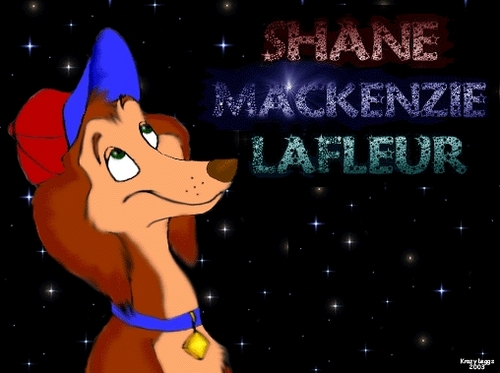 DJShaneLaFleur's profile picture. Aspiring Disc Jockey from Canton, Massachusetts who is also a furry and a Boston sports fan