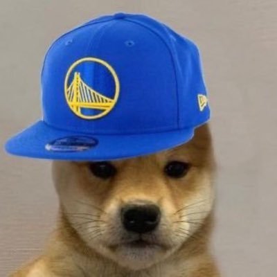 Warriors/Pistons fan