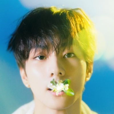 fwairynilo's profile picture. Don't touch don't touch don't touch touch touch