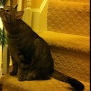 Amanda England - @KirklandEngland - Twitter