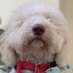 sillybilly (@drawingwit78460) Twitter profile photo sillybilly (@drawingwit78460) Twitter profile photo