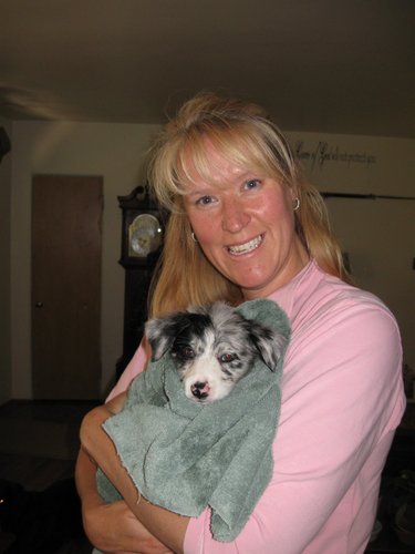 Wife, part-time Legislator, Wyomingite, Conservative. Mother of two sweet full grown dogs & our newest addition, am Aussie named Liberty.