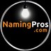 NamingPros (@NamingPros) Twitter profile photo