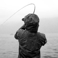 BC Recreational Fishing Association(@BcRecFish) 's Twitter Profileg
