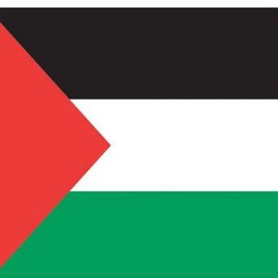 KdidirBrahim's profile picture. Macha allah