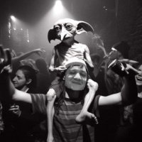 KMS Quidditch Guy (@quidditchguy) 's Twitter Profile Photo