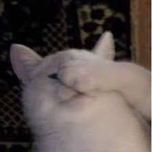 williamspajamas's profile picture. met @mrbarrywilliams 11-7-23 and haven’t showered since. yeehaw!