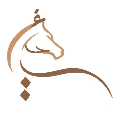 BSc in Computer Science ✨|Interested in Generative AI Research|#Data_Analysis🐥✨ 🚀.