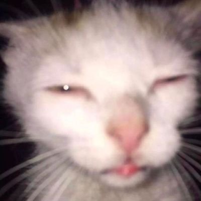 AiliinVera's profile picture. 23
nose
🇸🇪